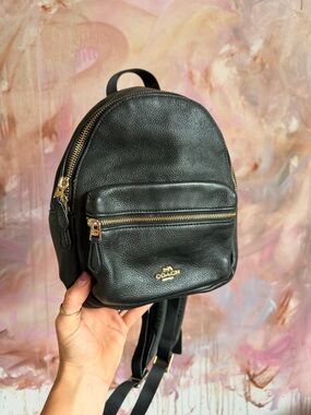 Coach | Bags | Coach Mini Backpack W Gold Hardware | Poshmark